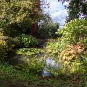 philip-bond-photography-gartenhag-birrwil-04